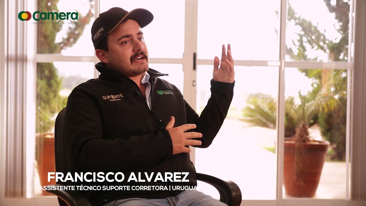 TRIGO: Super Trigo com Dose Certa - Acompanhamento T&eacute;cnico e Desenvolvimento das Lavouras em 2021