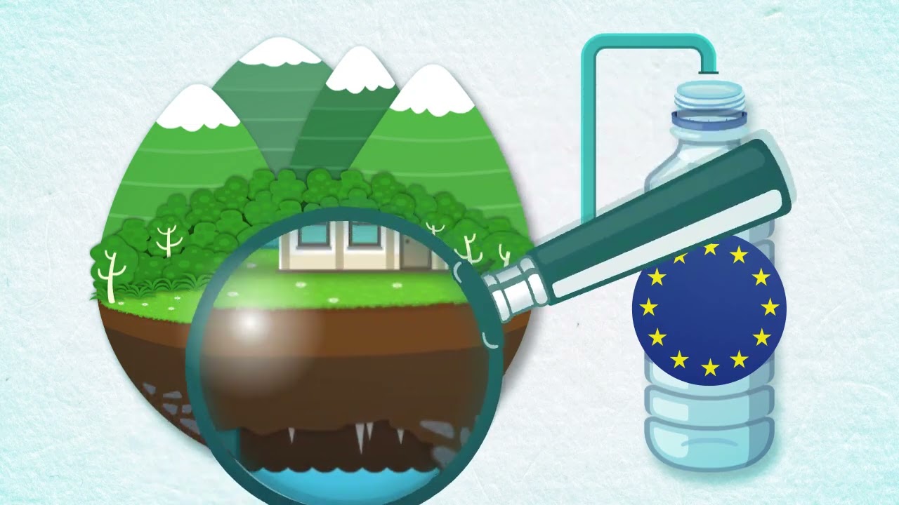 The water cycle