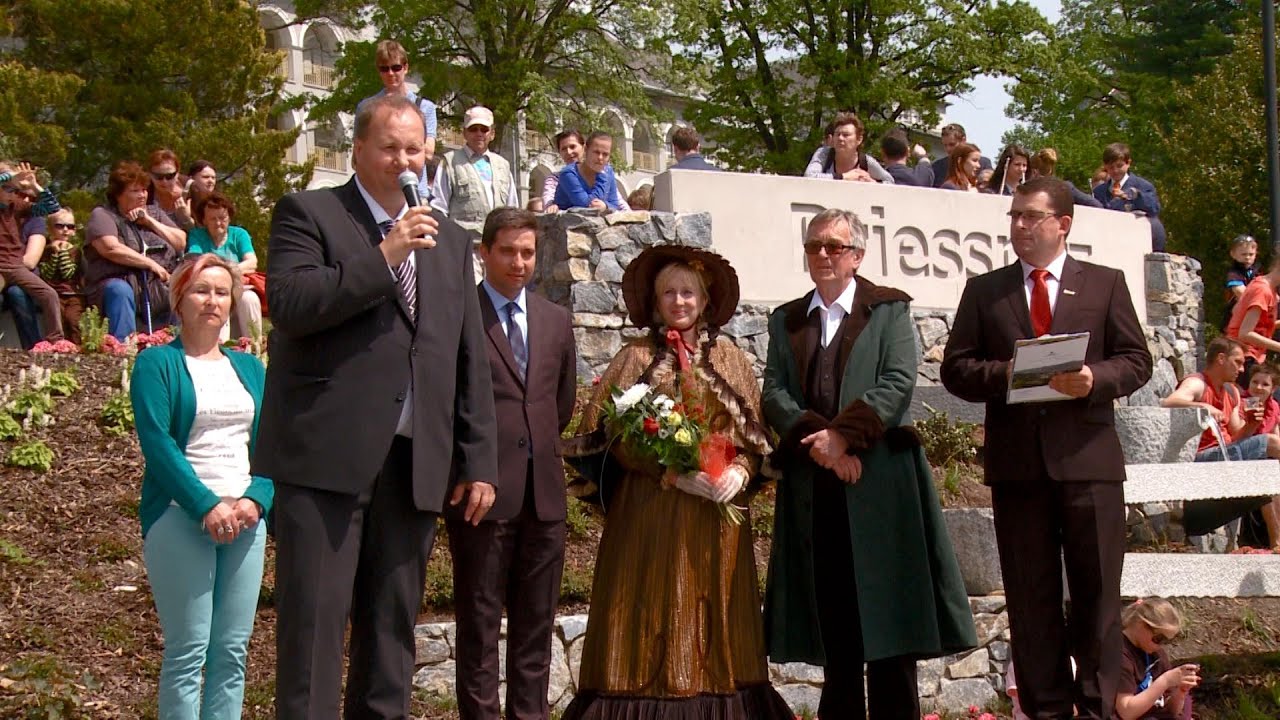 Videokronika 2015