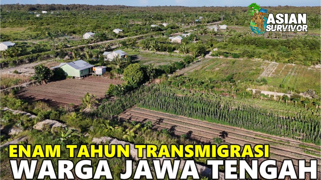 RUMAH & KEBUN PAK SUSANTO, ASAL DEMAK - JAWA TENGAH, LAHAN PERTANIAN TRANSMIGRASI KALIMANTAN UTARA