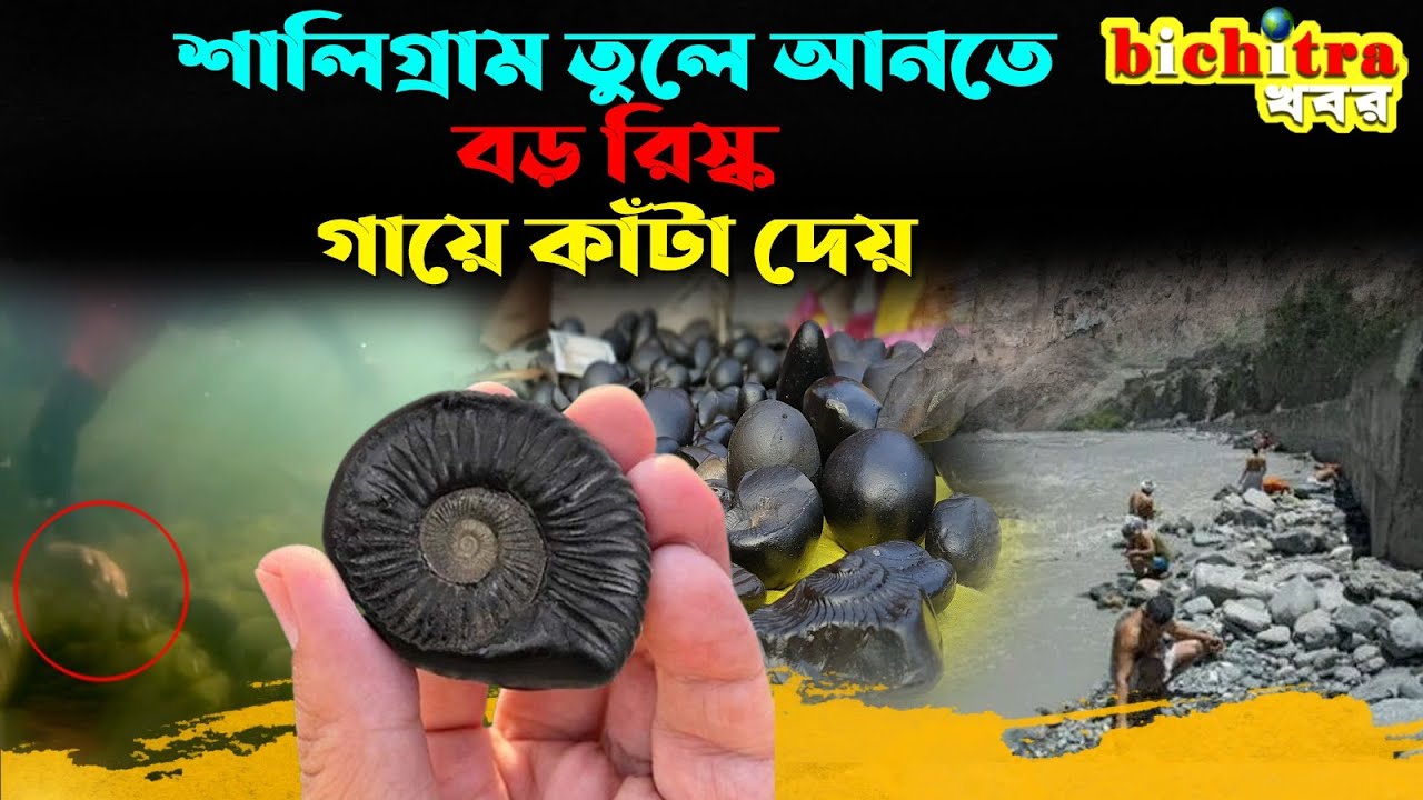 ভগবান নারায়ণ রূপে পূজিত পাথরের উৎস কোথায়; শালিগ্রাম-শালগ্রাম শিলা কী ?
