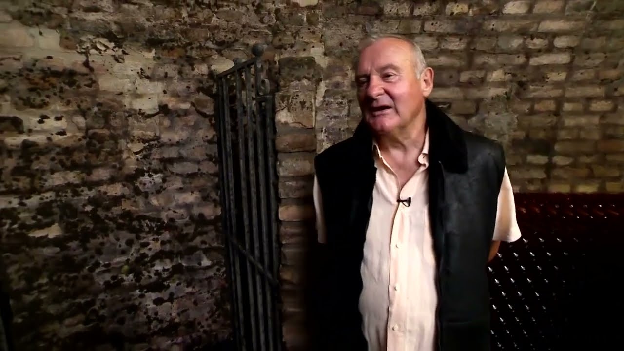 Nyár22 Petrányi Pince és Borterasz Csopak