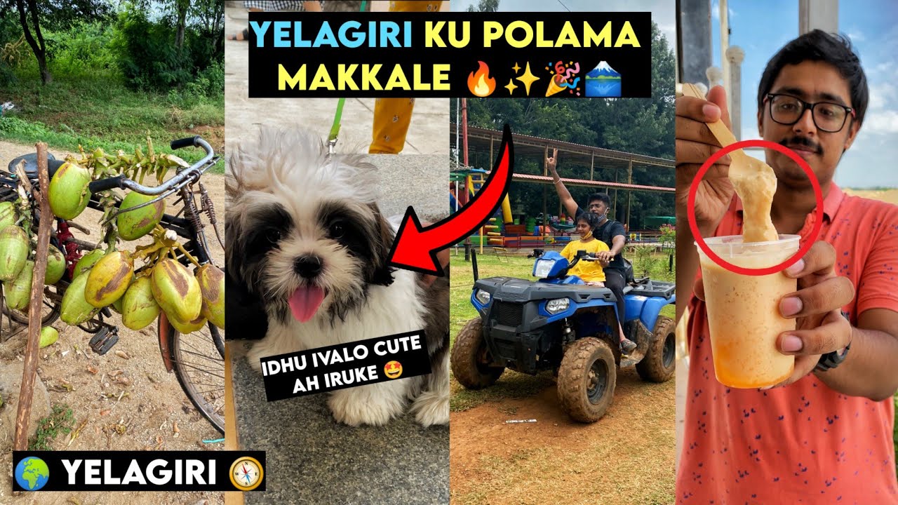 Yelagiri Ku Polama Makkale 🗻🎉✨🔥 ?? | Peppa Foodie