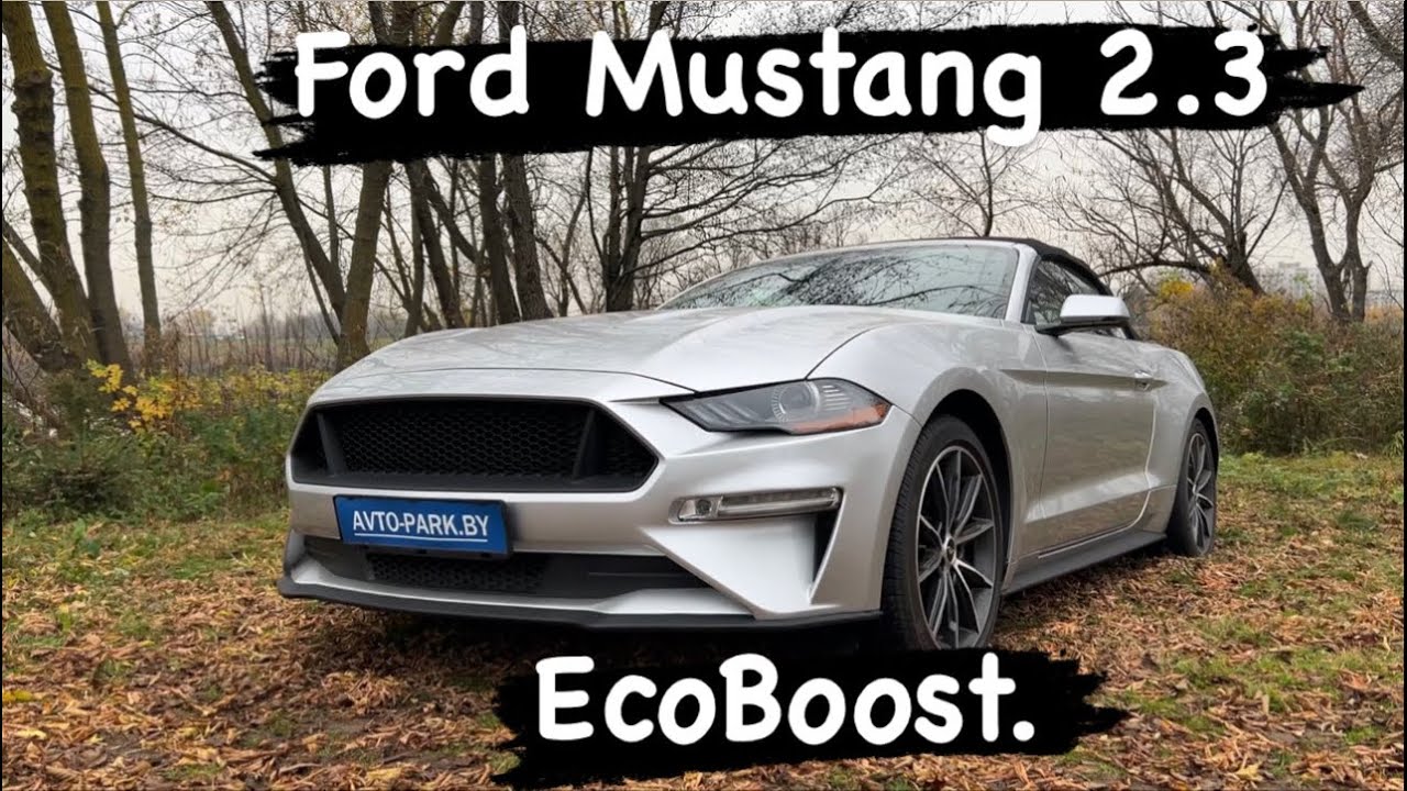 Ford Mustang 2.3 EcoBoost. На повседнев Mustang. Тест-Драйв.