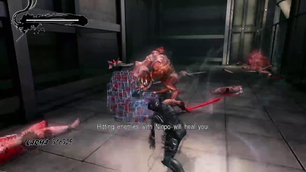 Ninja Gaiden 3