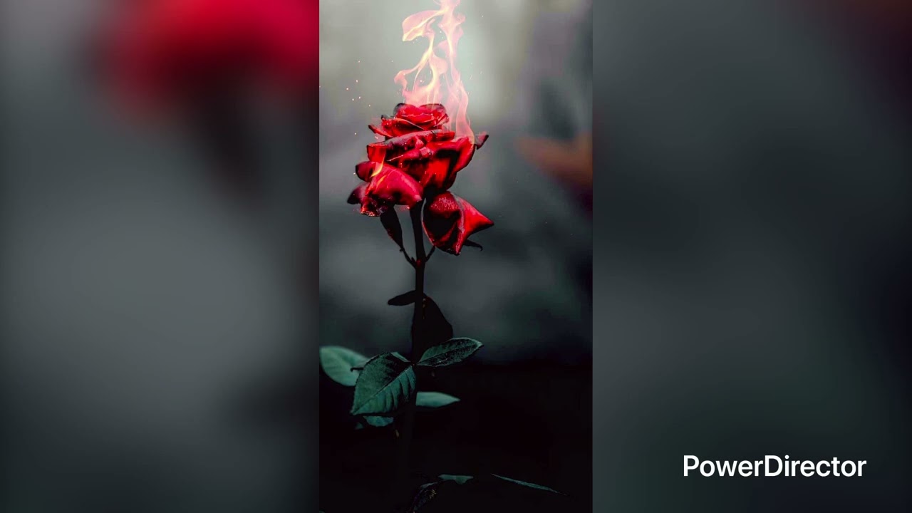 Hey love (audio)