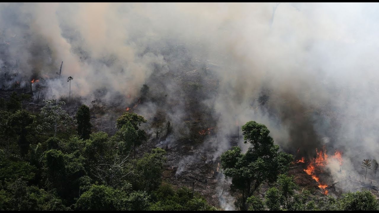 WELT THEMA: So bedrohen die Amazonas-Feuer unser Weltklima
