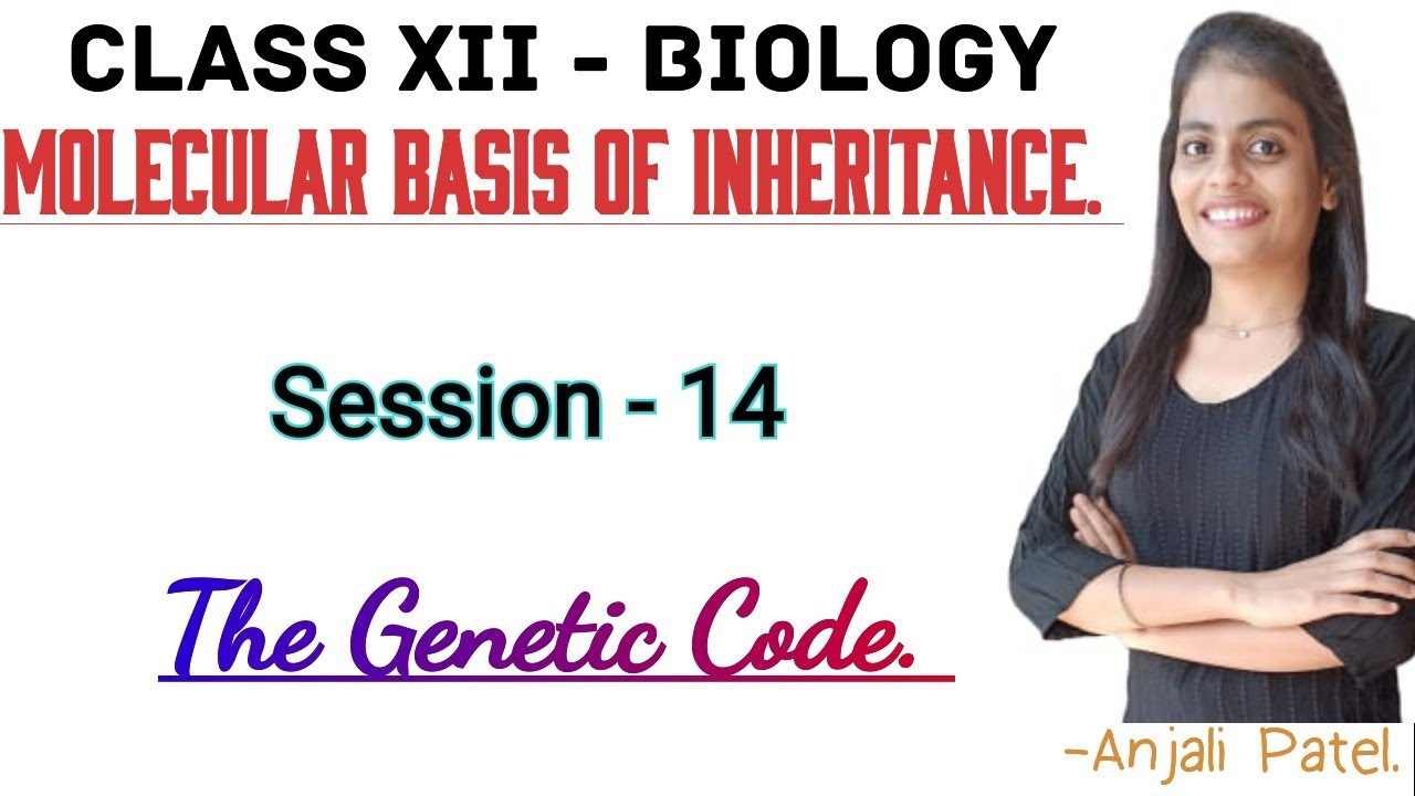 Class XII Biology - Molecular basis of inheritance - The Genetic Code.
