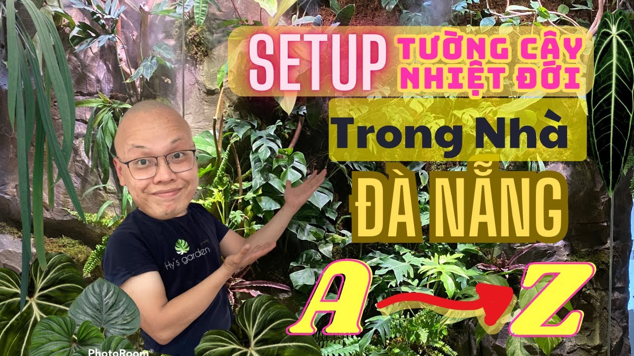 Setup Bước Tường Cây Nhiệt Đới-Tường Cây Kiểng Lá trong nhà tại TP Đà Nẵng