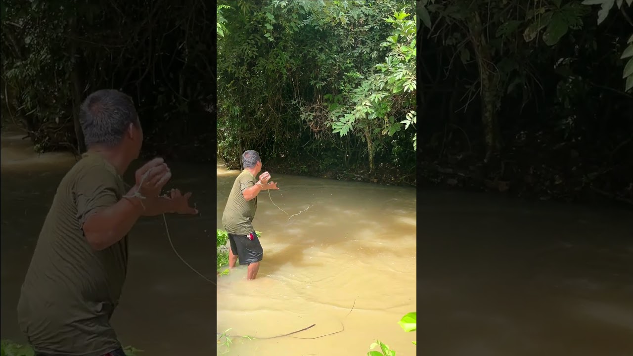 Fisherman Cast Net Fishing Real Life Amazing Fishing At Countryside.(Episode 384)