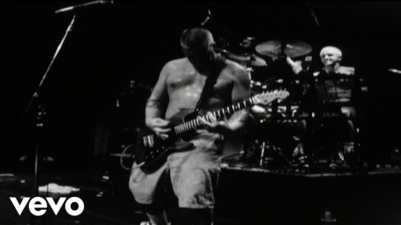 Sublime - Falling Idols (Live At The Palace/1995)