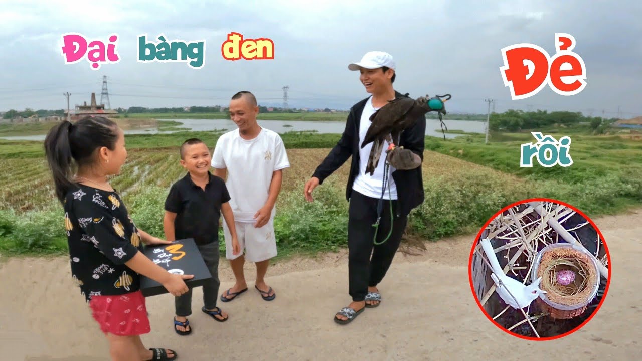 Chào Mào Bạch Đã Đẻ Quả Trứng Đầu Tiên - Tiếp Đón AE Tam Mao Và Được Tặng Chim Quý / Quế Nghịch