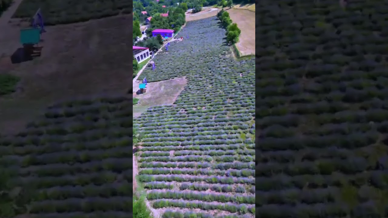 Lav Farm at Visoko from up in sky