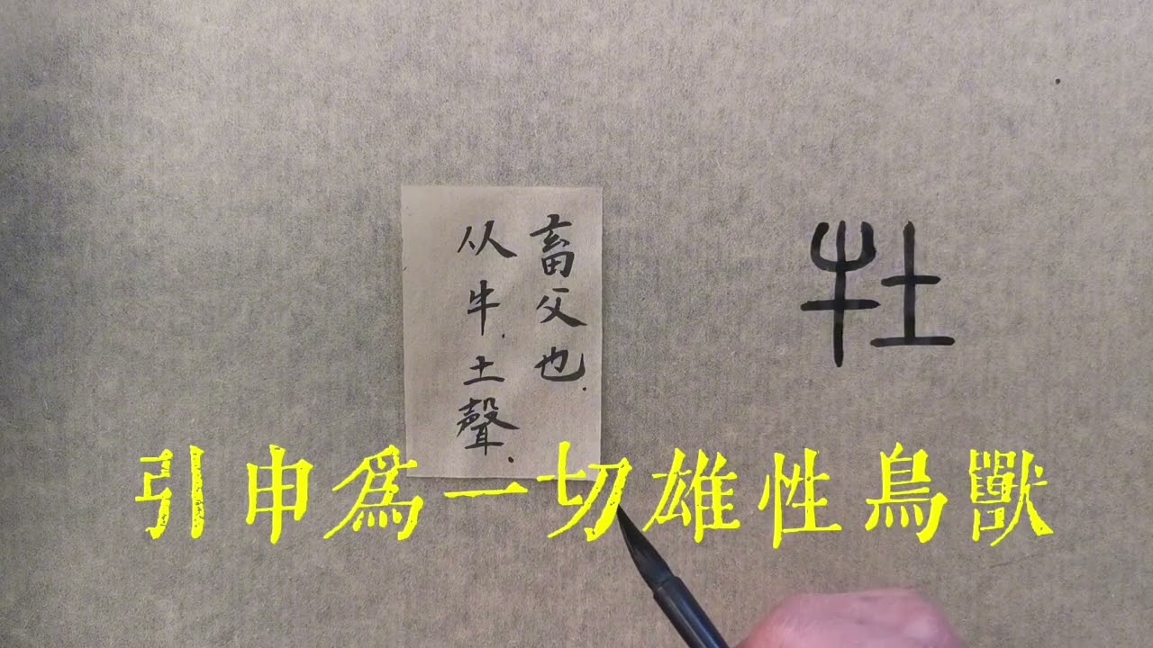 牡代指雄性
