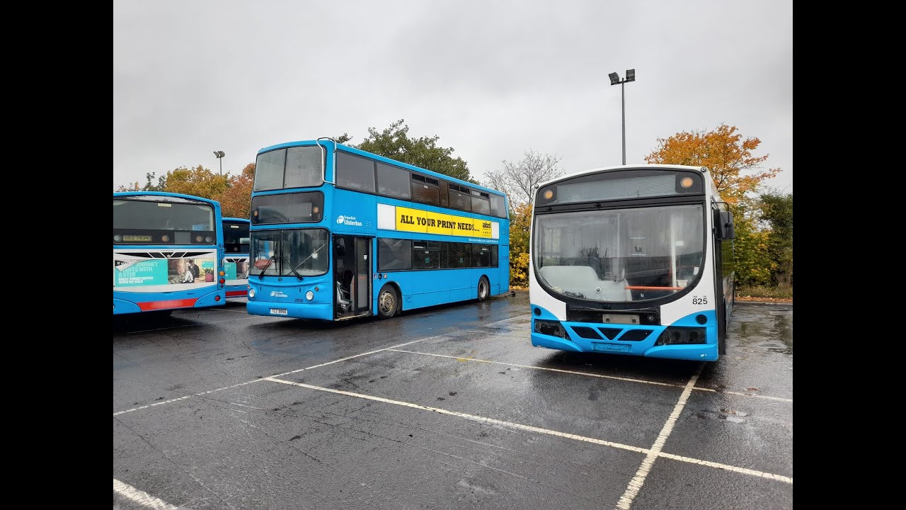 Buses in Hamills Scrap Yard.