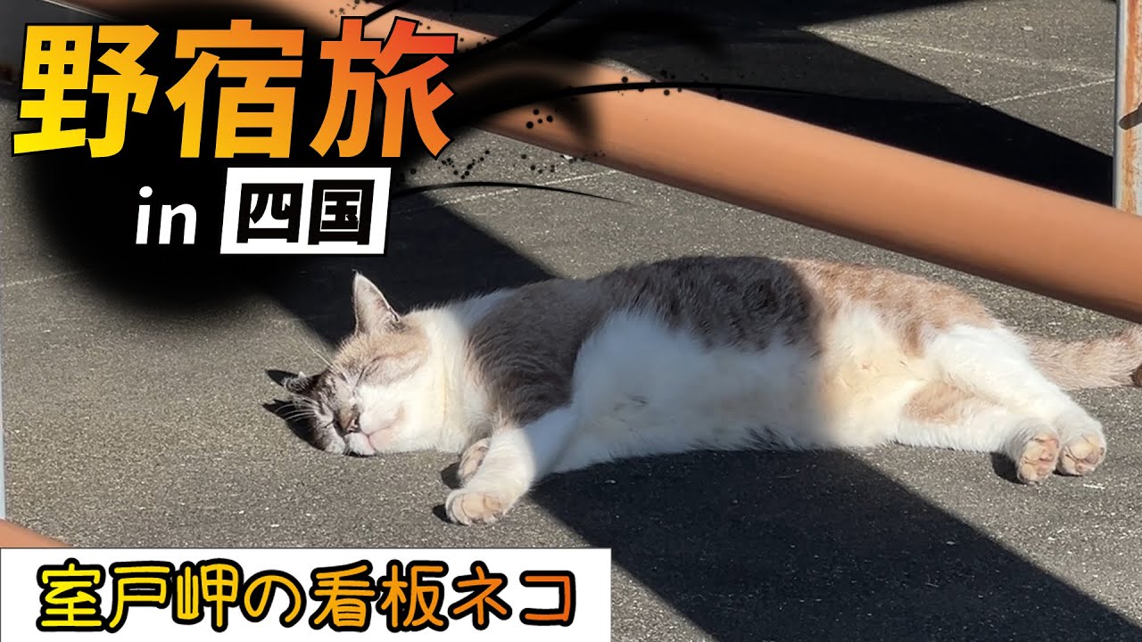 高知県で野宿するメタルヴォーカル 四国で野宿　後編