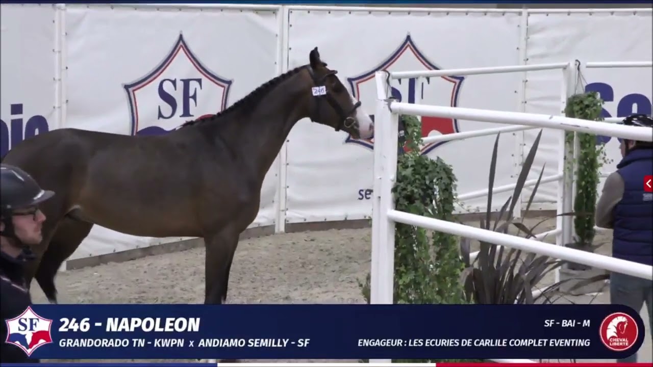 NAPOLEON - Championnat des 2ans SF - Saut en liberté