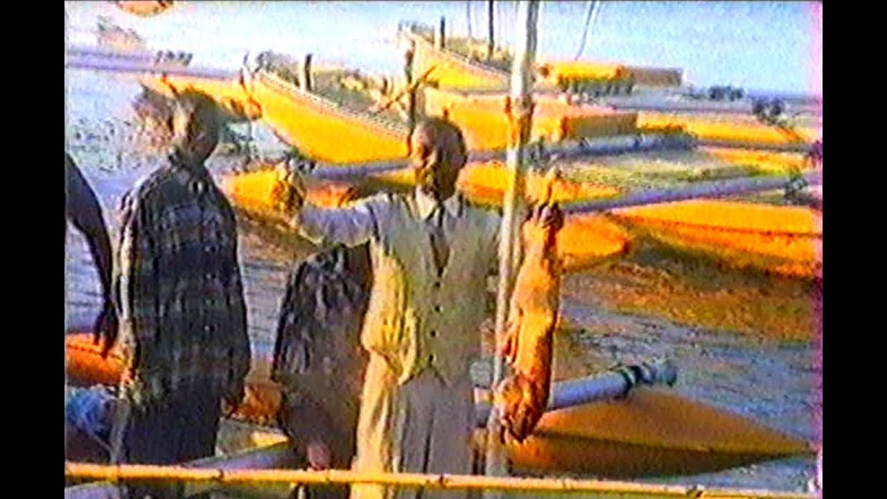 HAROUNA -  WALOZI