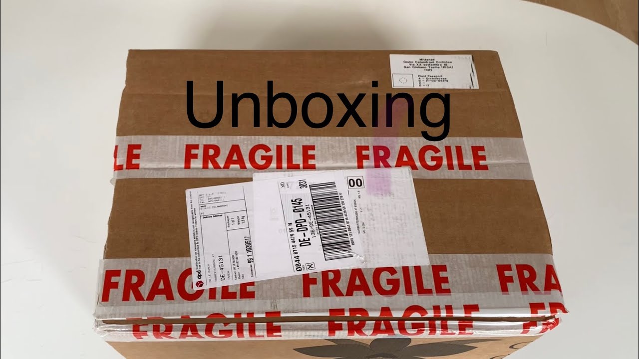 Unboxing my Cattleya Dolosa from Celandroni orchids!
