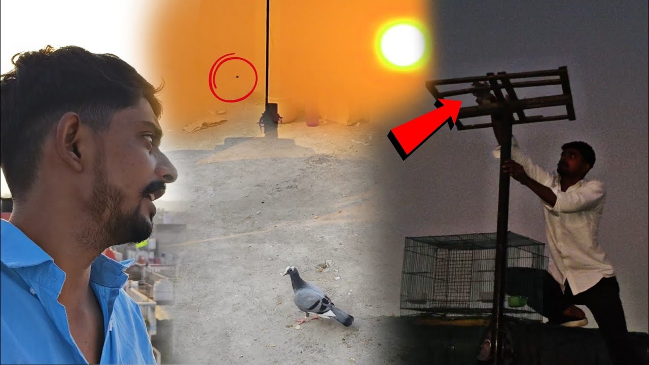 Dubaj 🤪!! 1 Patha NikLL Gya 🕊️