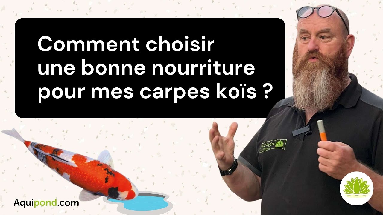N°15 : Comment choisir une bonne nourriture pour mes carpes koïs?