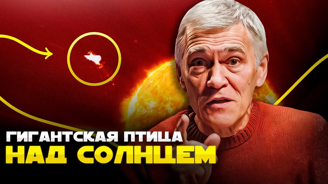 МИГАЮЩИЕ ПОЛОСЫ НА МАРСЕ / КУСКИ ЛУНЫ &ndash; СПУТНИКИ ЗЕМЛИ / ОГРОМНАЯ ПТИЦА НАД СОЛНЦЕМ. Владимир Сурдин