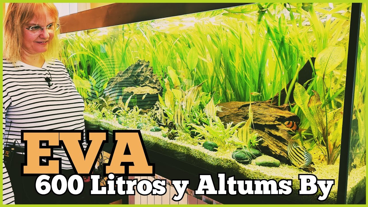 ACUARIO de 2 METROS y 60O LITROS con ALTUM