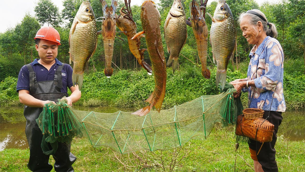 3個籠子1個網，捉4斤魚2斤蝦，做一頓簡單的家常野味Grandma catches lobster and fish for a delicious traditional meal｜ 美食｜玉林阿婆