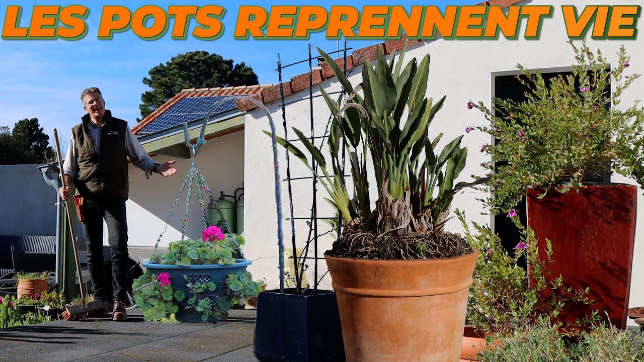 LES PLANTES EN POT REPRENNENT VIE - Que Faire Dans Mon Jardin ? Semaine 15