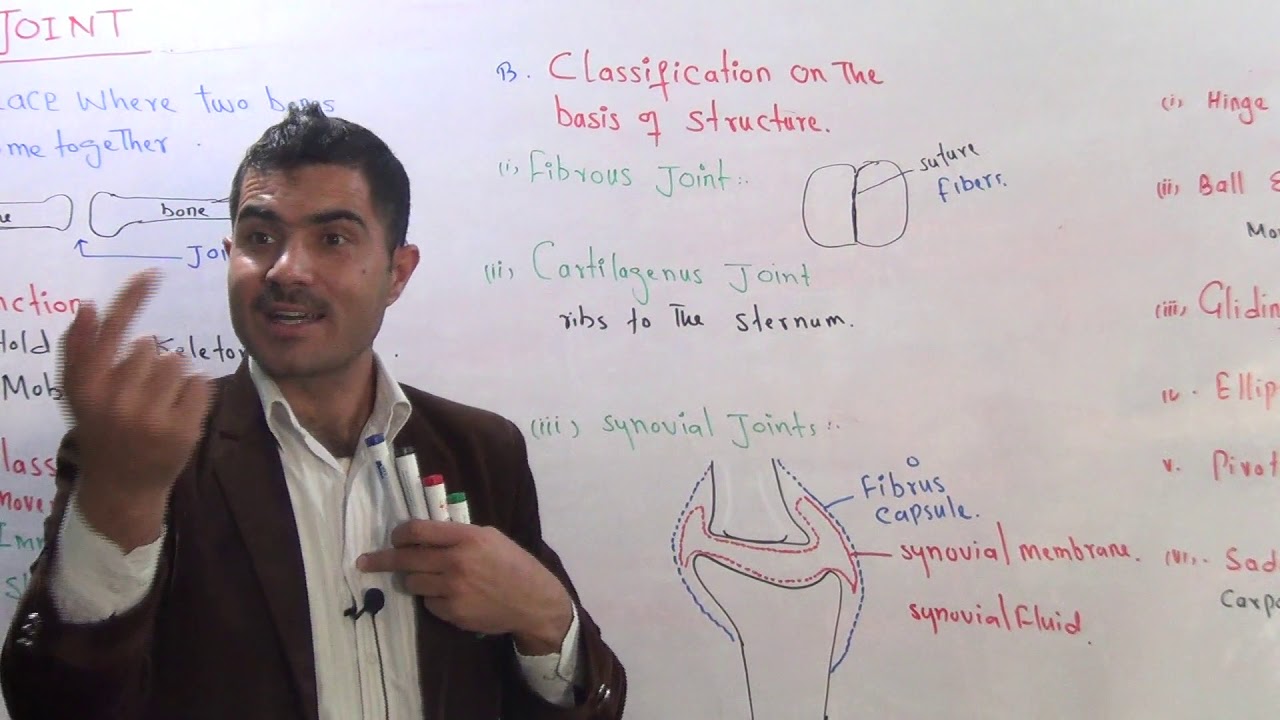 L-6 Joints and joint classification