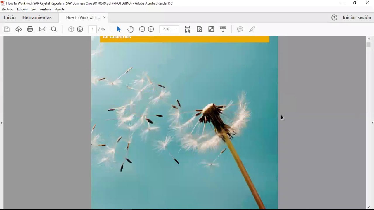Crystal Reports en SAP B1 - Tokens