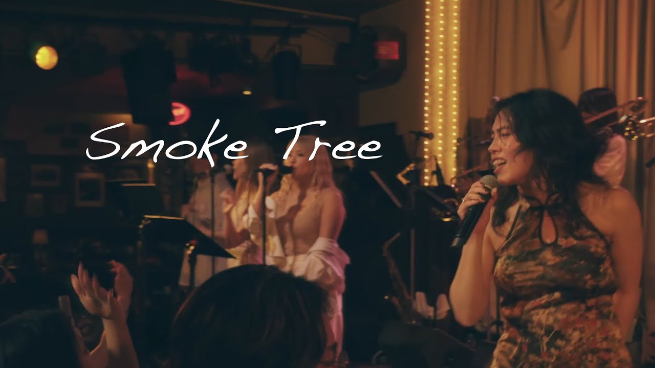 FiJA : Blame It on the Boogie｜SMOKE TREE Concert