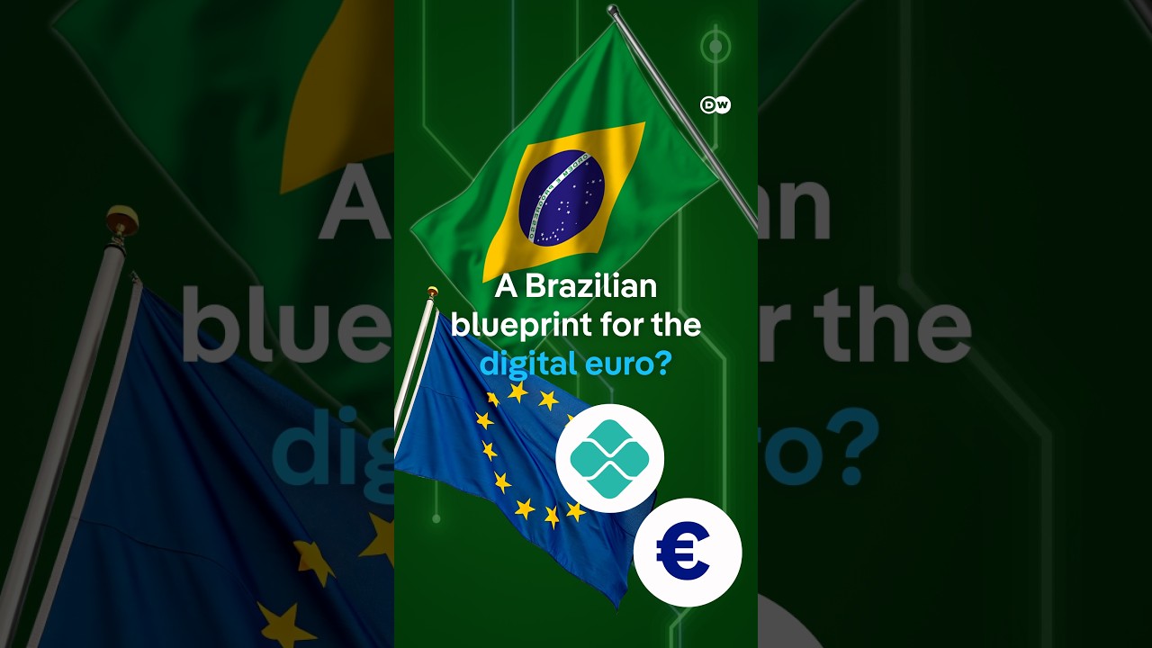 Brazil made digital payments simple. Why can't Europe? | DW News