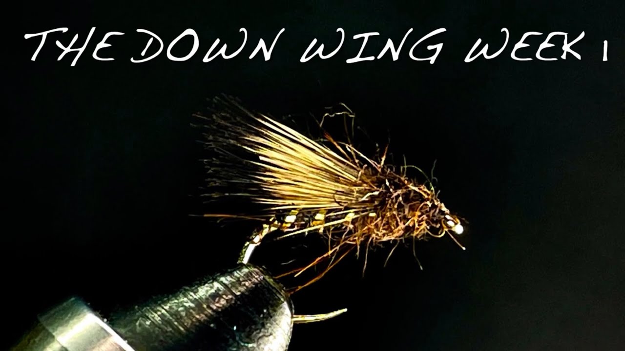 Deer Hair Wings | Week 1 The Down Wing