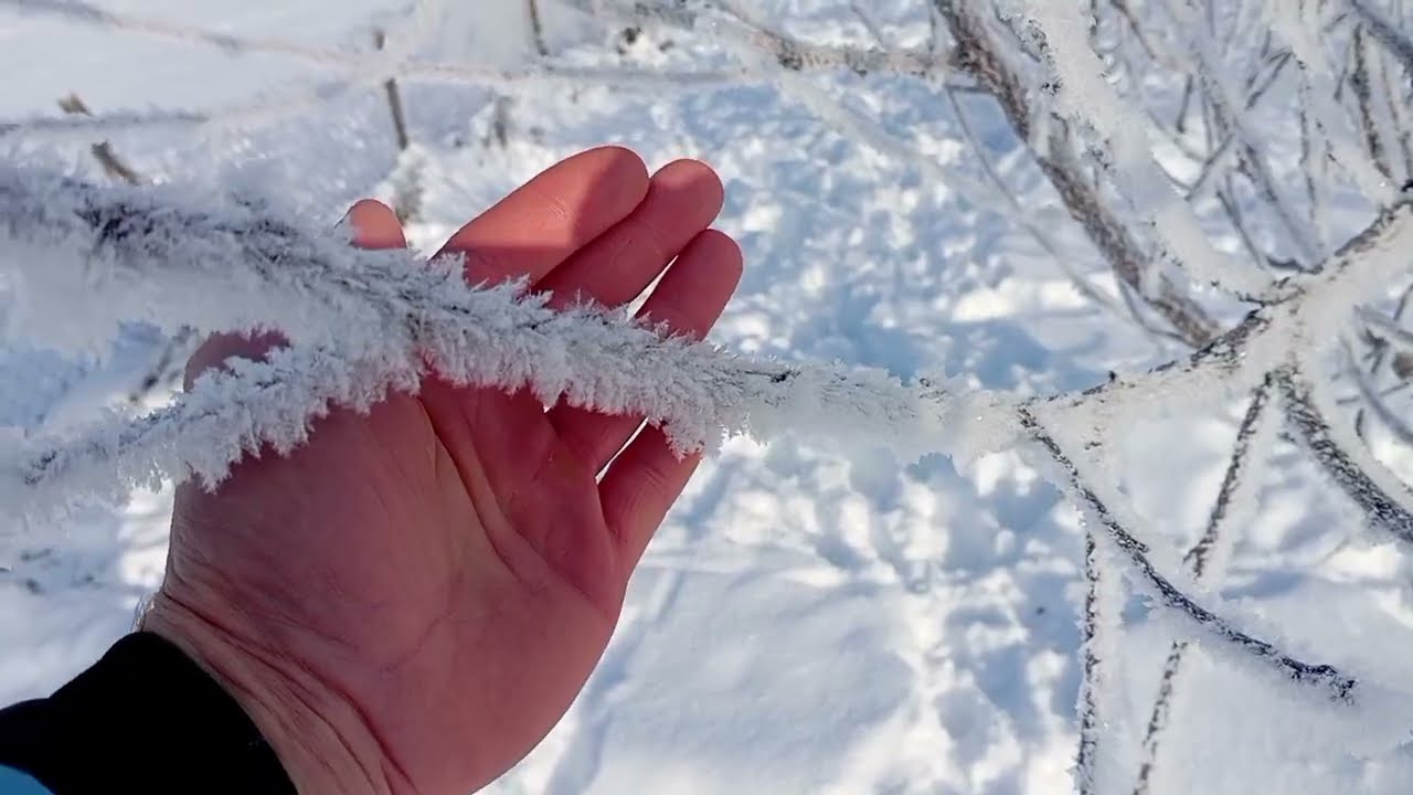 🌡️-25 Паморозь 🥶: Користь чи Шкода ?