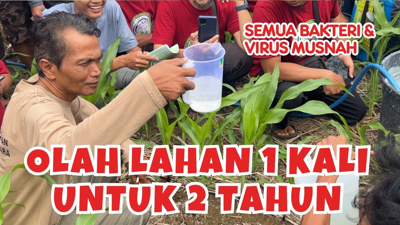 Praktek Aplikasi H2O2 untuk Olah Lahan Pola KP2M