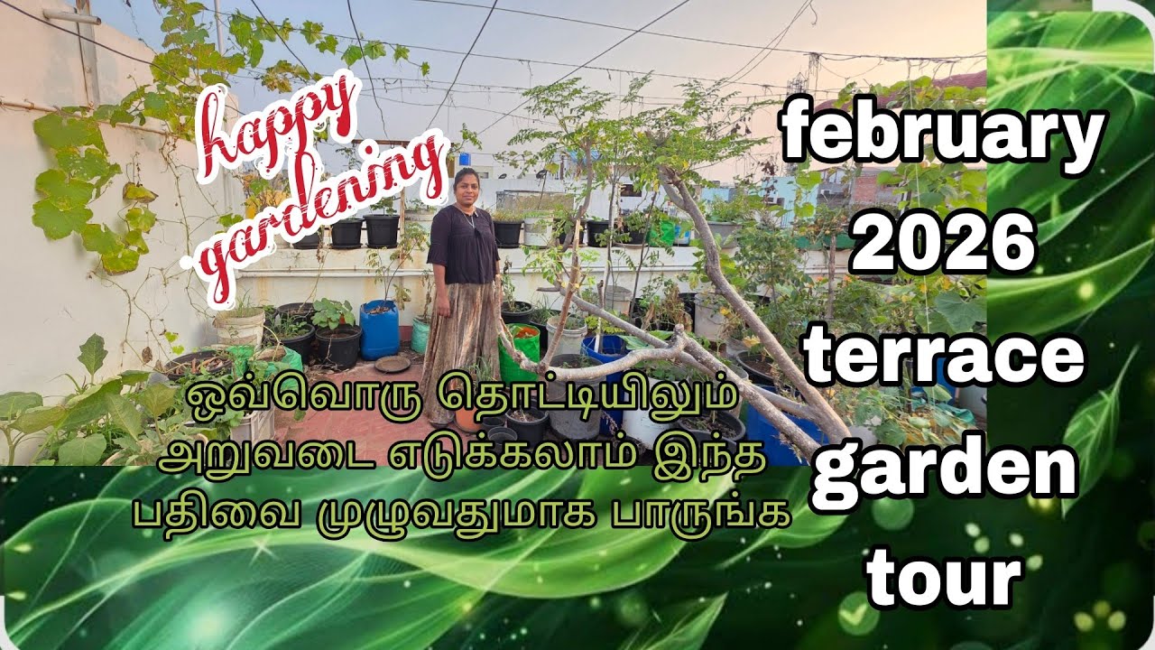 வெயில் காலத்தில் மாடி தோட்டம் போடலாமா @RajiGowthaman 