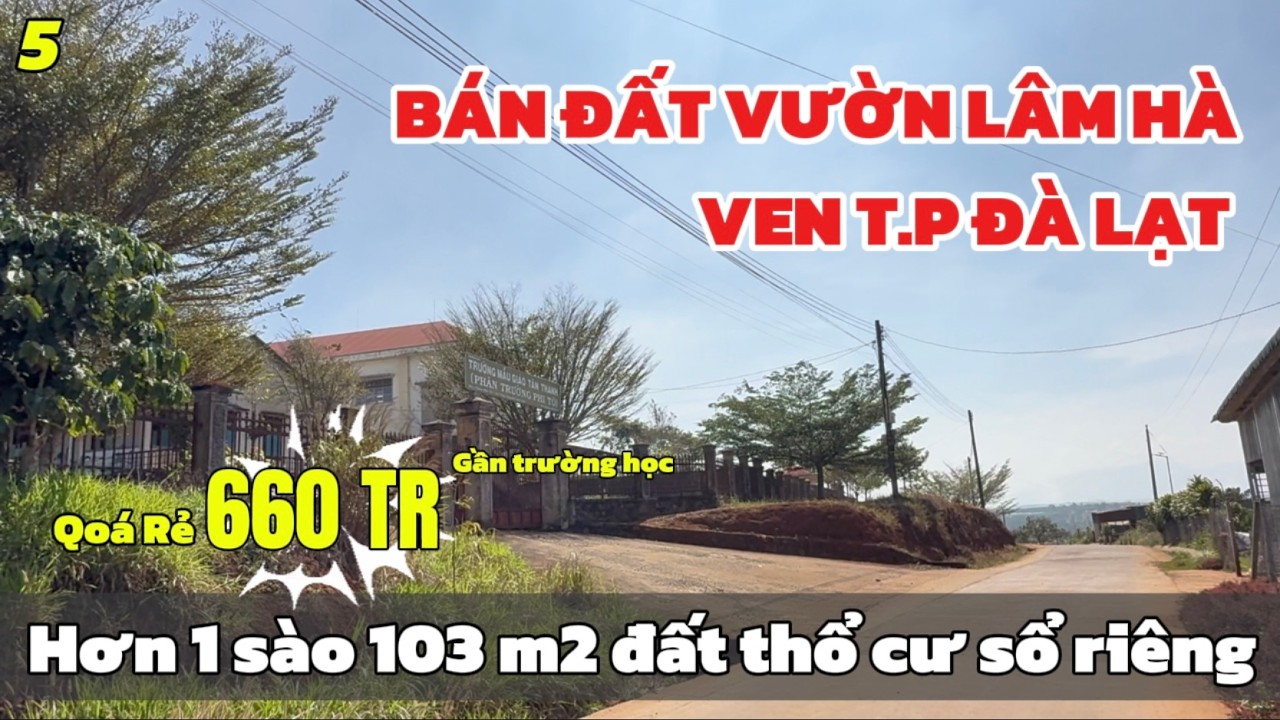 Bán Đất Vườn Lâm Hà Hơn 1 Sào 🌿 Có 103m² Thổ Cư | Vườn Cà Phê Đẹp | Chỉ 660 Triệu