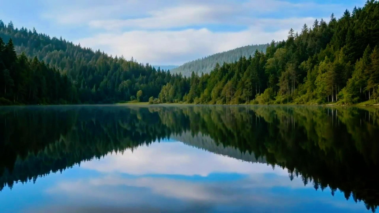 Return to Nature, Return to Healing#relaxing #mindfulpresence #universe #nature #relaxingmusic