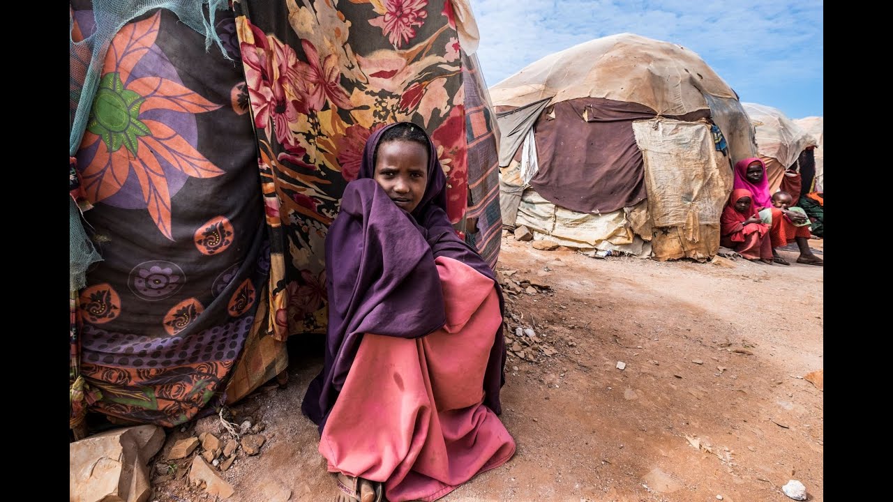Somalia's diaspora response to humanitarian crisis