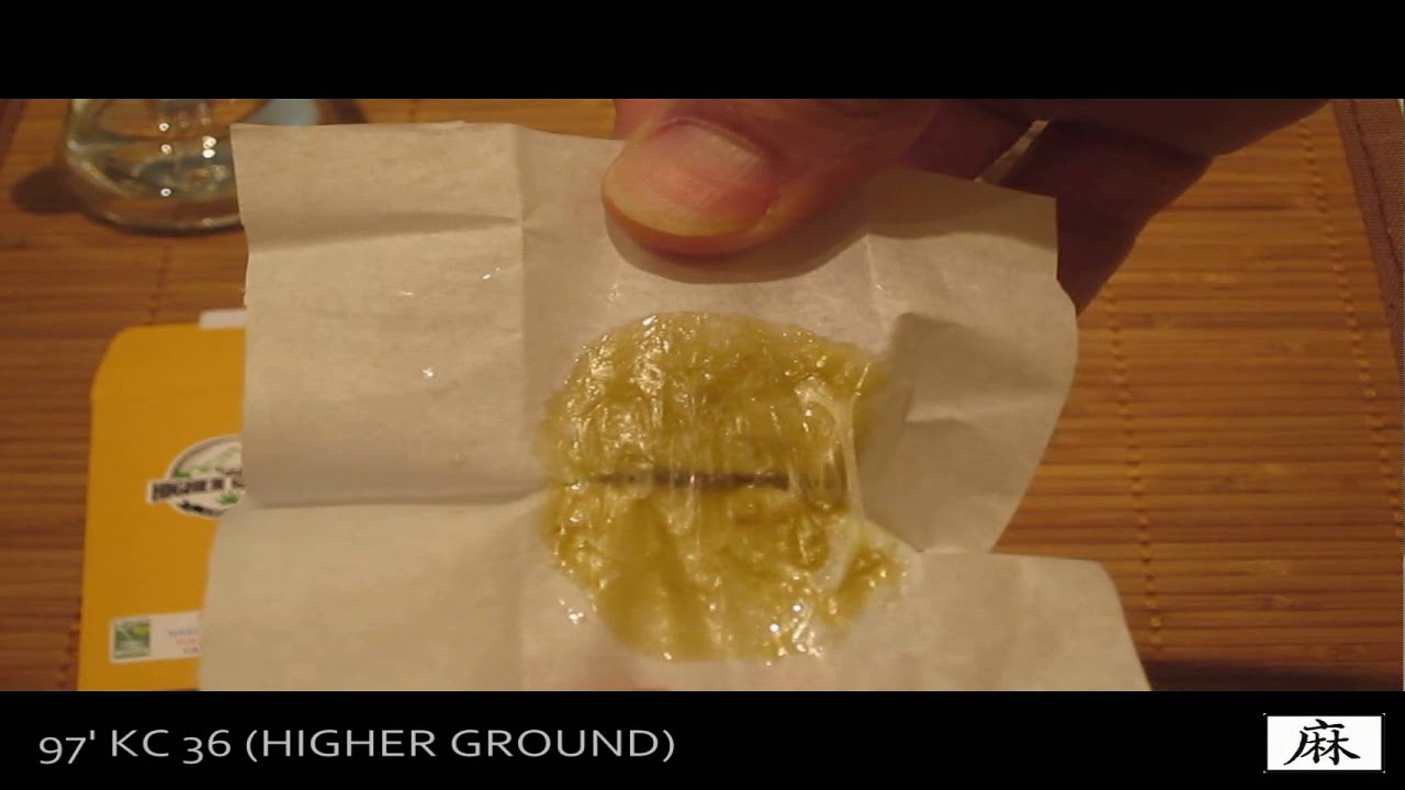 IE420 Presents 