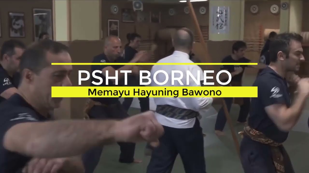 European Silat Fighters, Amazing and Unpredictable (Psilat Eropa, Keren dan Tidak Terduga)