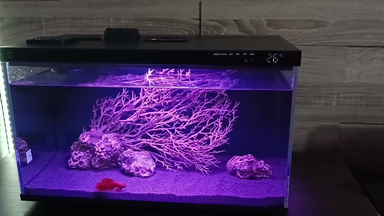 Минусы и доработка аквариума Xiaomi Mijia Smart Fish Tank Black (MYG100)