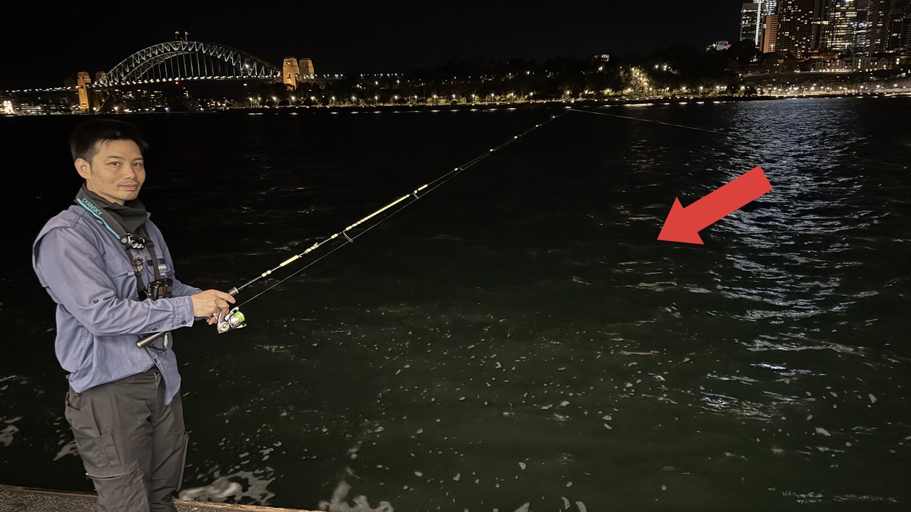 How to catch squid at a wharf!