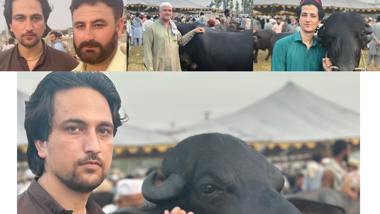 آج میلے کا آخری ولاگ تھا انشاءاللہ زندگی رہی تو اگلے سال عید کے میلے کے ولاگ آئینگے 🥲