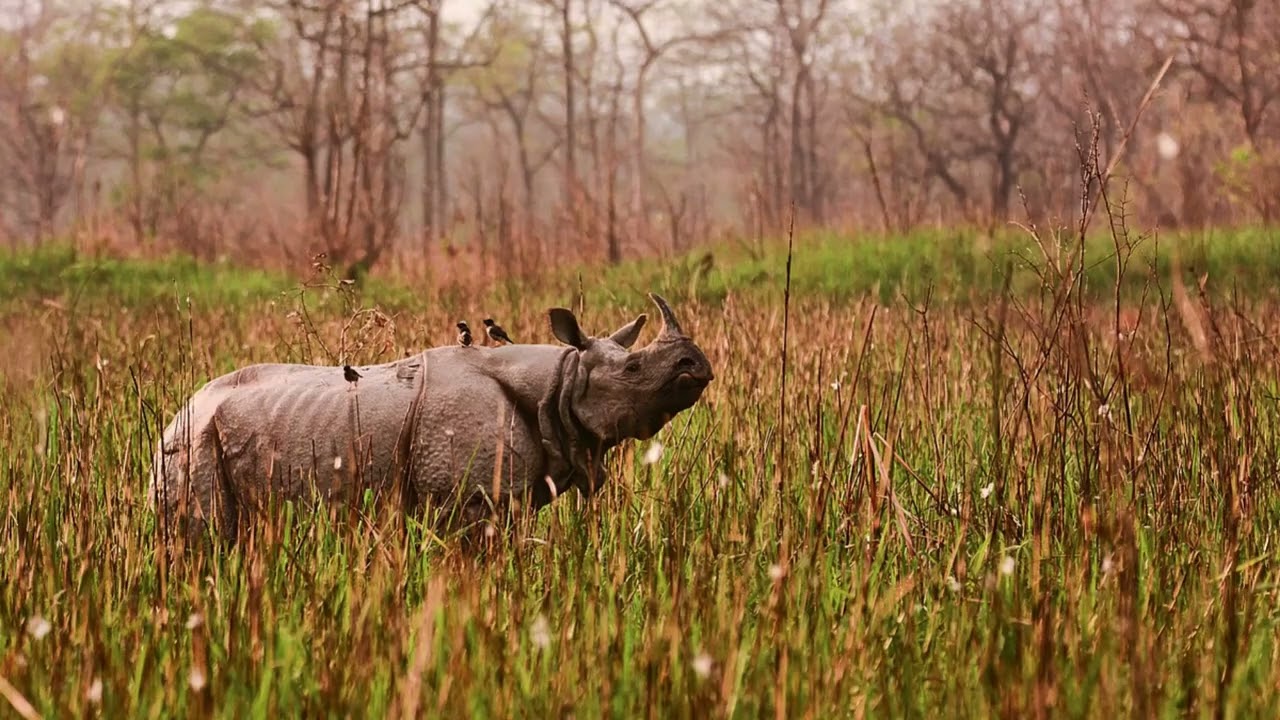 DARRANG TOURISM IN ASSAM &ndash; INDIA