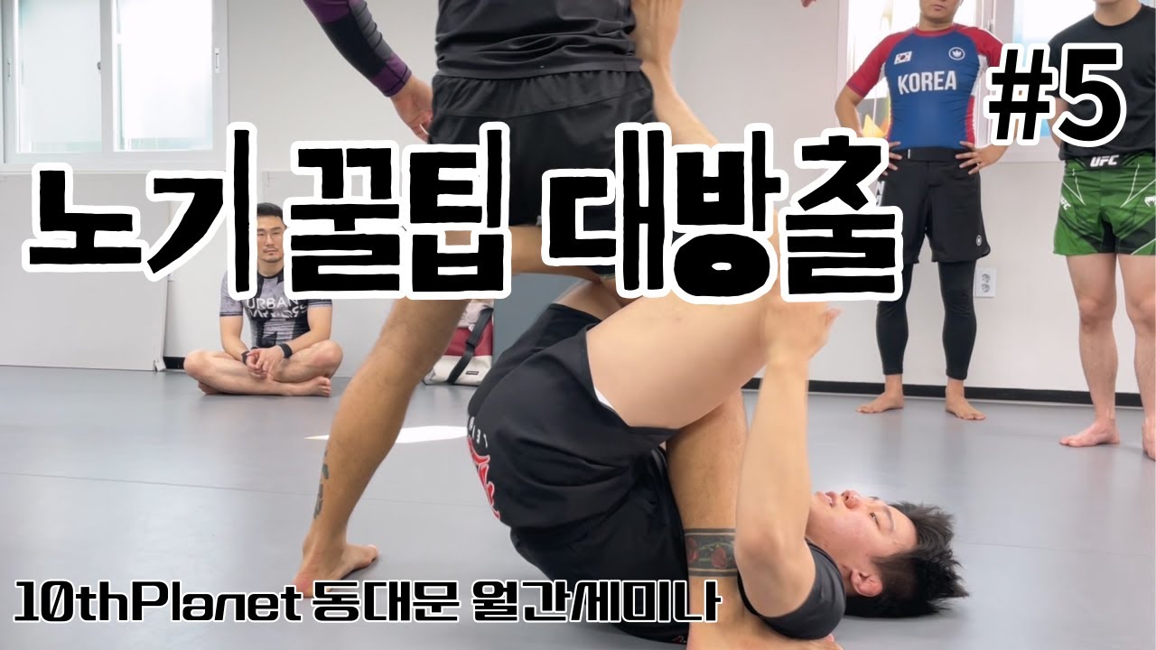 홍완표 선수의 노기 꿀팁 대방출! 노기 애호가들은 필수 시청!