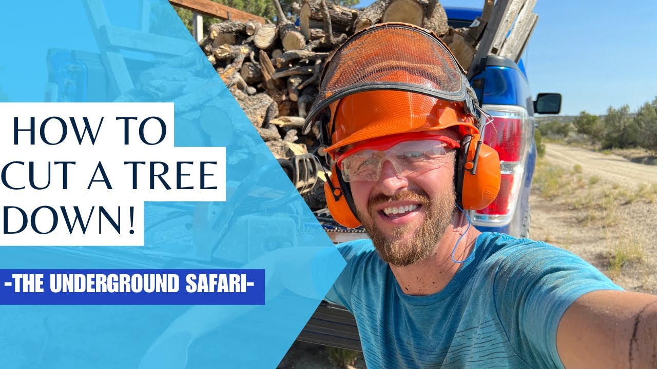 How to clean, cut and process a piñon pine tree into firewood. #woodcutting #firewood #howto #piñon