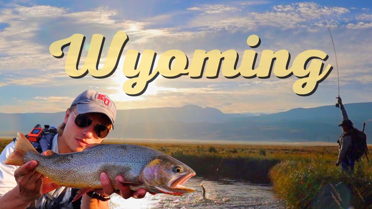 Protected Parks & Friendly Fish: Fly Fishing Yellowstone & Teton National Park