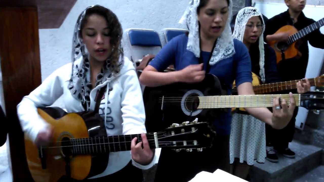 Shamma Guardando la doctrina